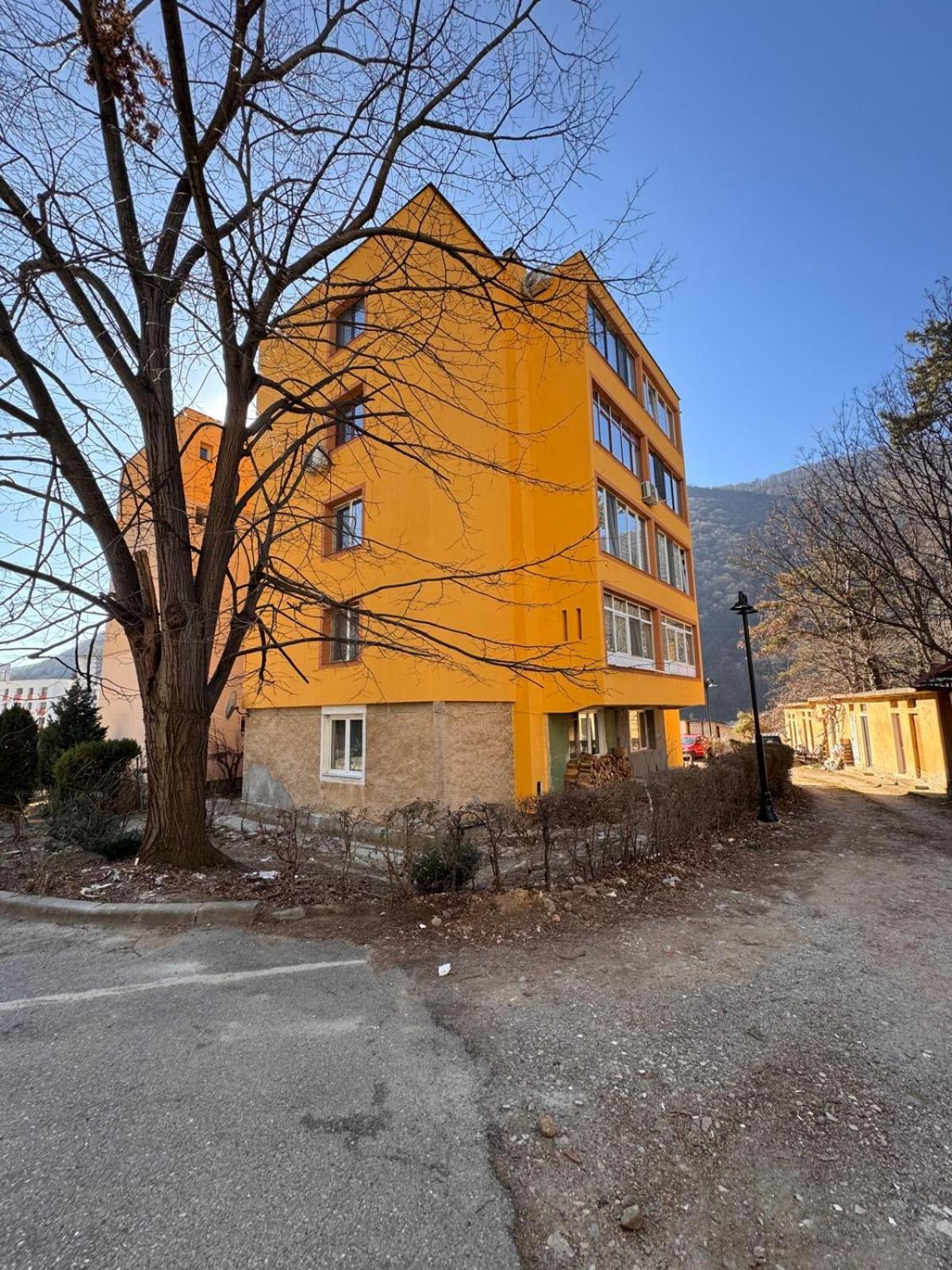Linen Tree Apartment Baile Herculane Exterior photo